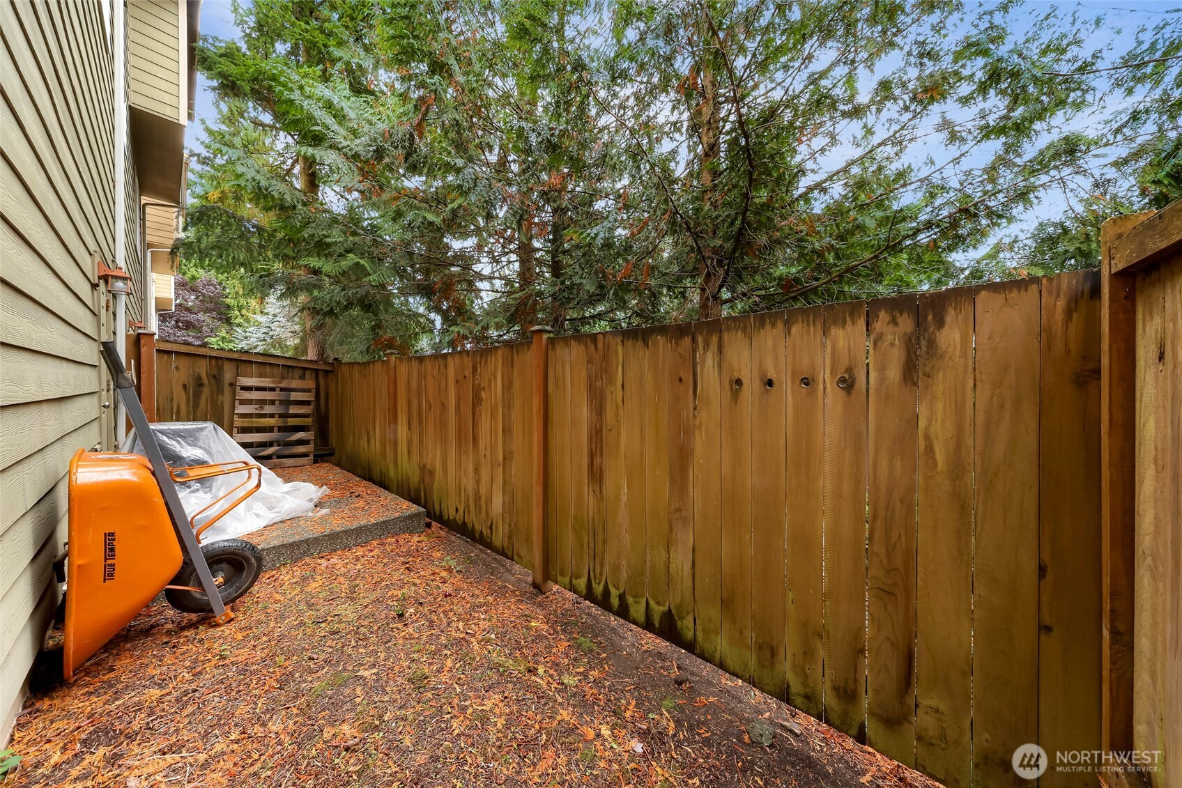 229 Dorn Avenue, Everett, WA 98208