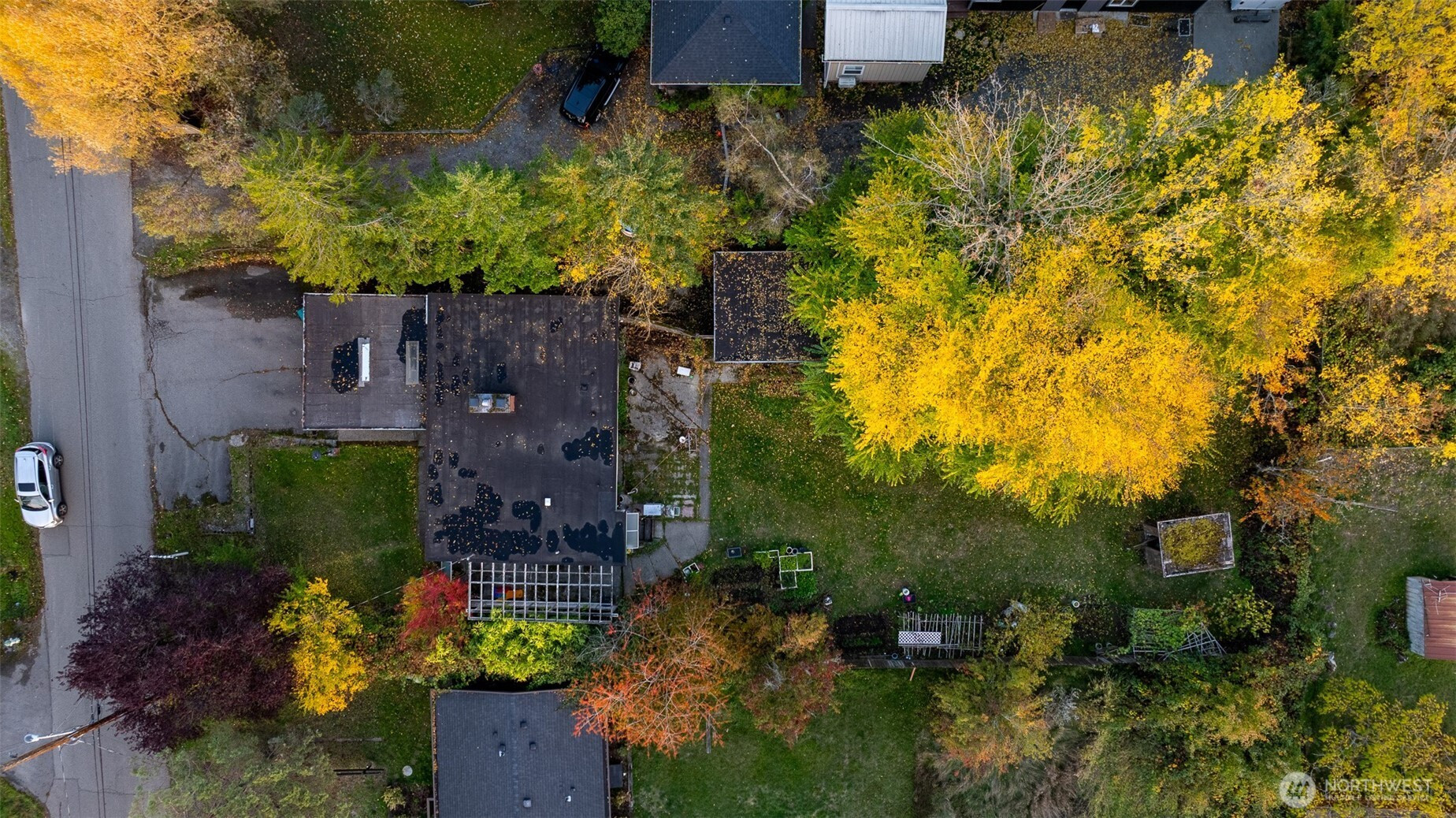 6107 S 124th Street, Seattle, WA 98178