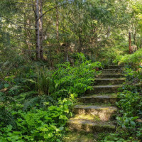 337 Sudden Valley Drive, Bellingham, WA 98229