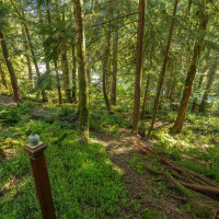 337 Sudden Valley Drive, Bellingham, WA 98229