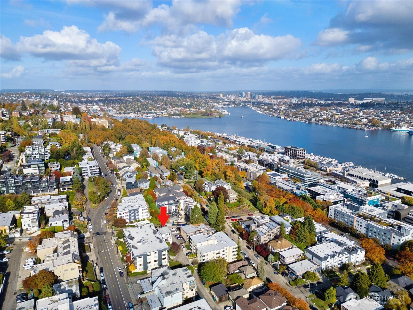 561 Lee Street, Seattle, WA 98109