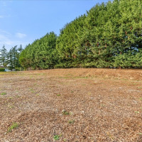 372 xx 29th Avenue S, Federal Way, WA 98003