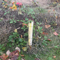 2501 Highland Avenue, Everett, WA 98201