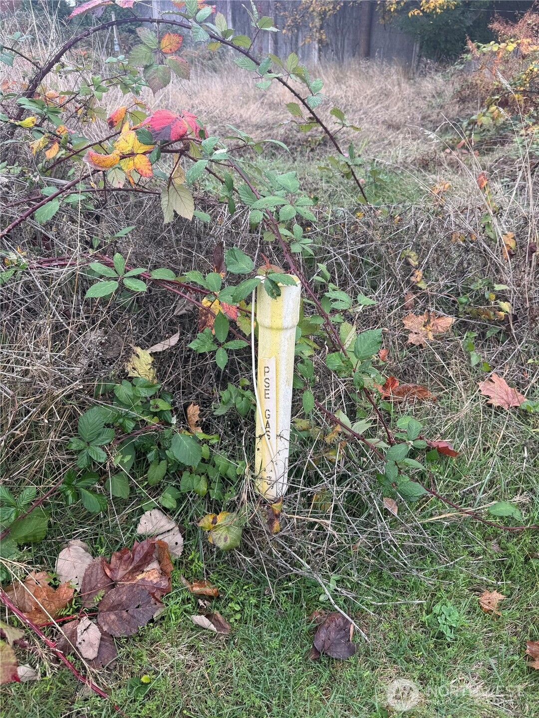 2501 Highland Avenue, Everett, WA 98201