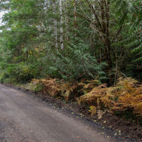 430 E Thornton Road, Shelton, WA 98584