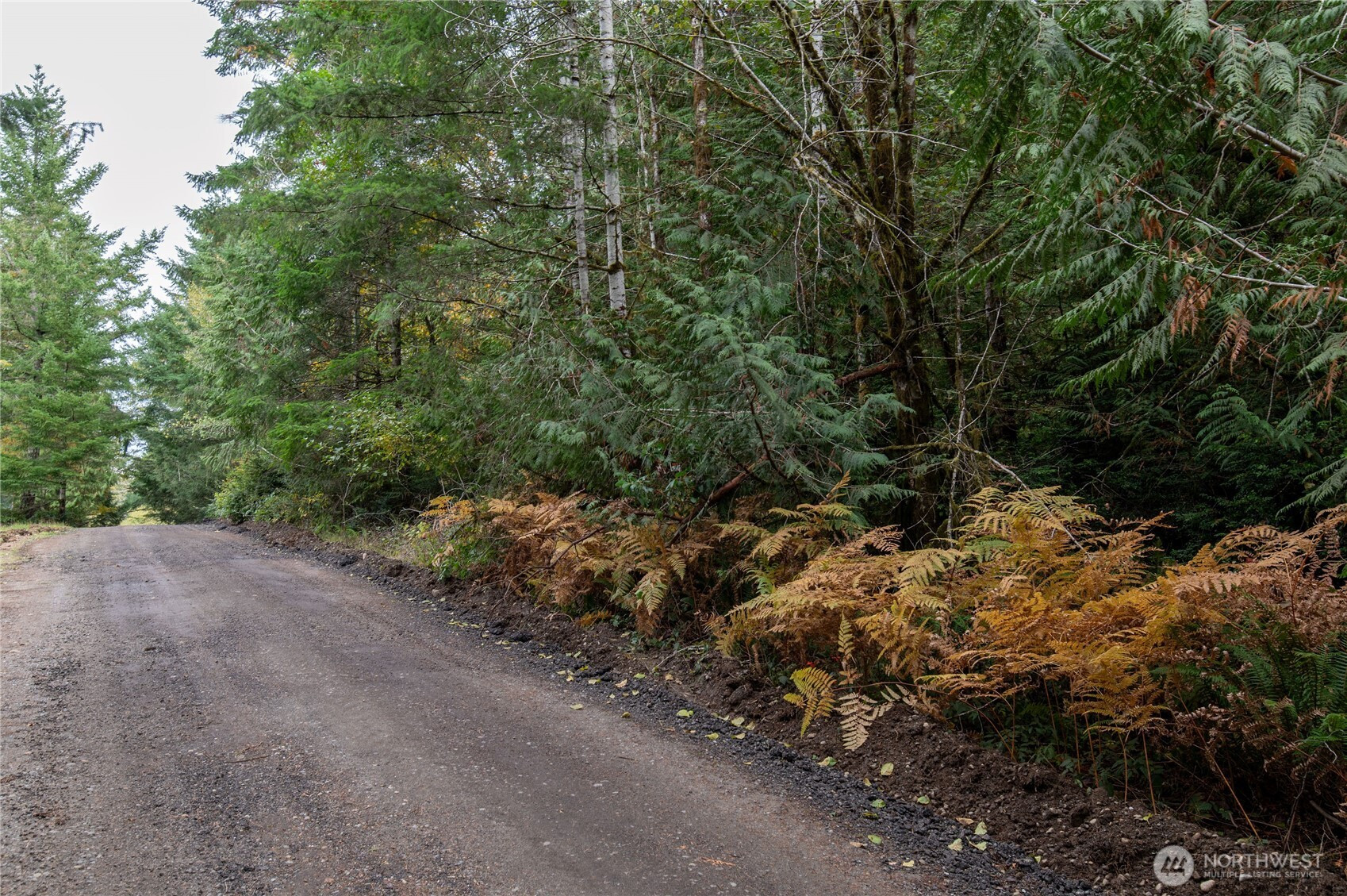 430 E Thornton Road, Shelton, WA 98584