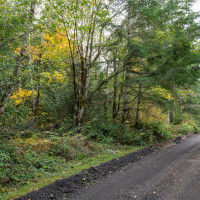 430 E Thornton Road, Shelton, WA 98584