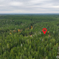 292 NE Kissin Tree Lane, Tahuya, WA 98588