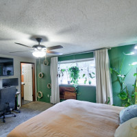 8548 178th Avenue SW, Rochester, WA 98579