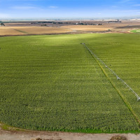 0 Parcel 31-3198-000, Quincy, WA 98848