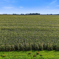 0 Parcel 31-3198-000, Quincy, WA 98848