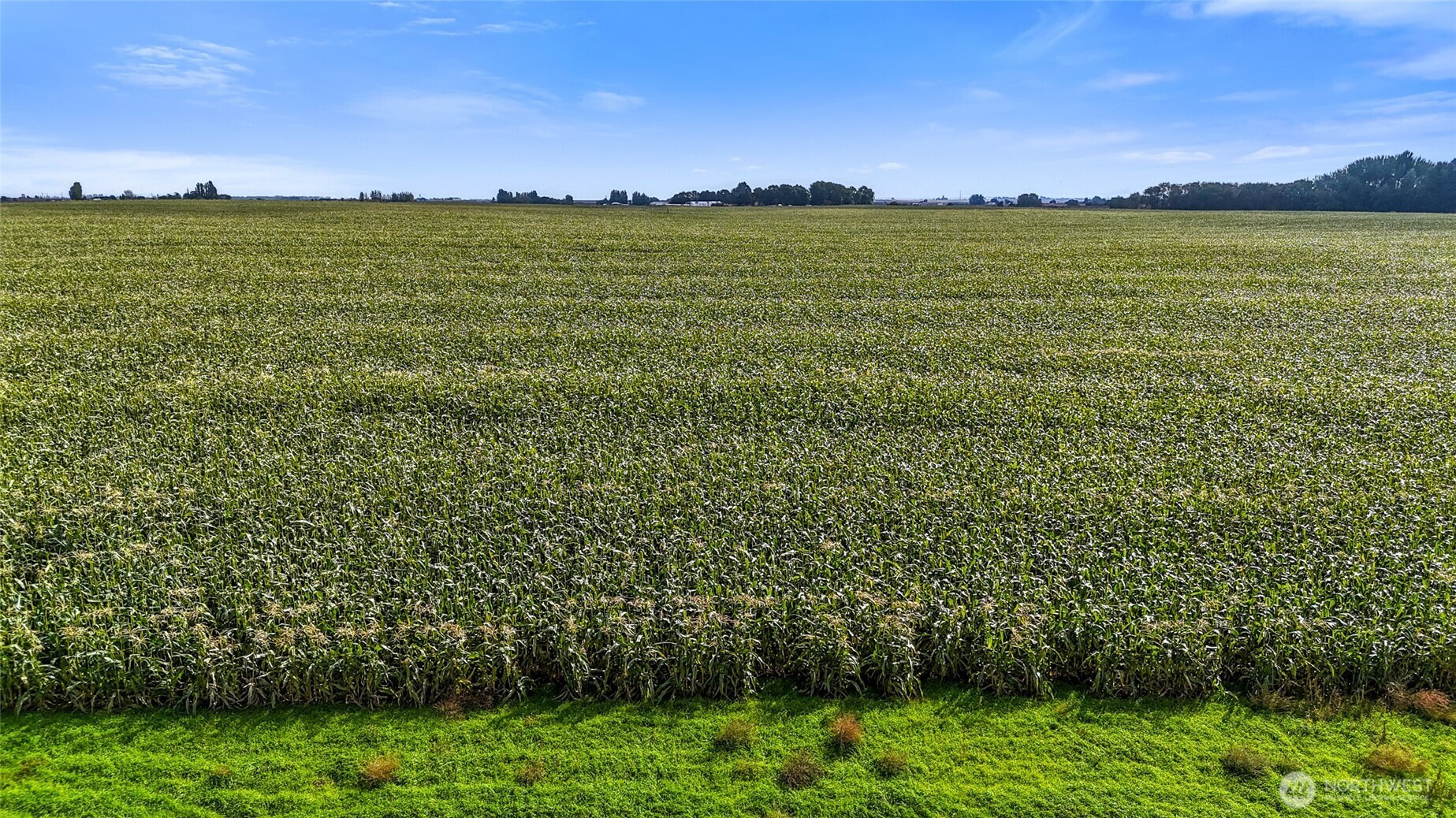 0 Parcel 31-3198-000, Quincy, WA 98848