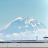 2636 22nd Avenue W, Seattle, WA 98199