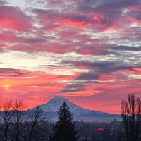 2307 S I Street, Tacoma, WA 98405