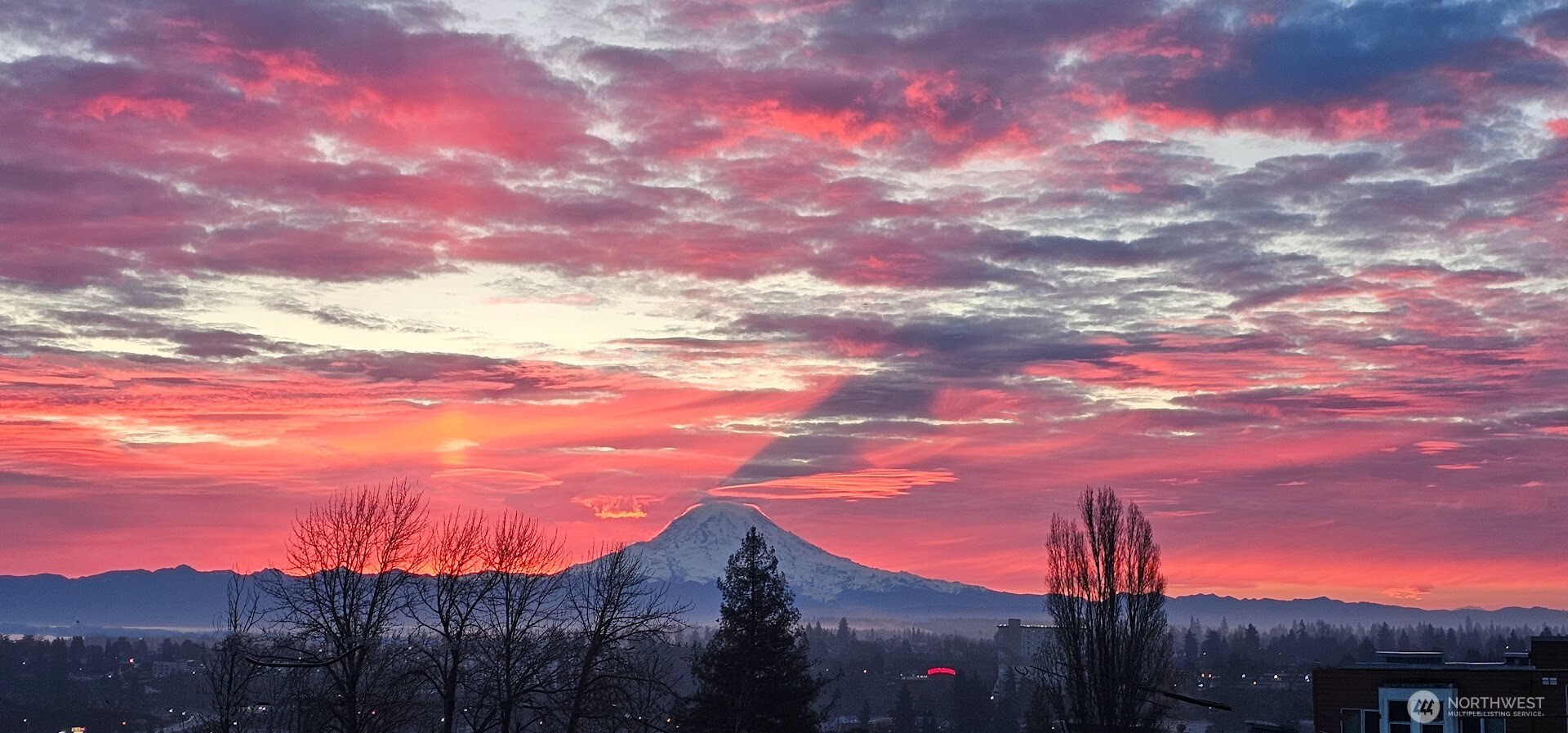 2307 S I Street, Tacoma, WA 98405