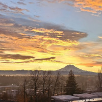 2307 S I Street, Tacoma, WA 98405