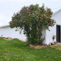 1113 S County Road, Warden, WA 98857