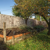 15511 10th Avenue NE, Shoreline, WA 98155