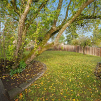 15511 10th Avenue NE, Shoreline, WA 98155