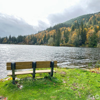 1 W Alder Drive, Sedro Woolley, WA 98284