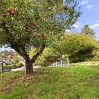 4812 46th Avenue SW, Seattle, WA 98116