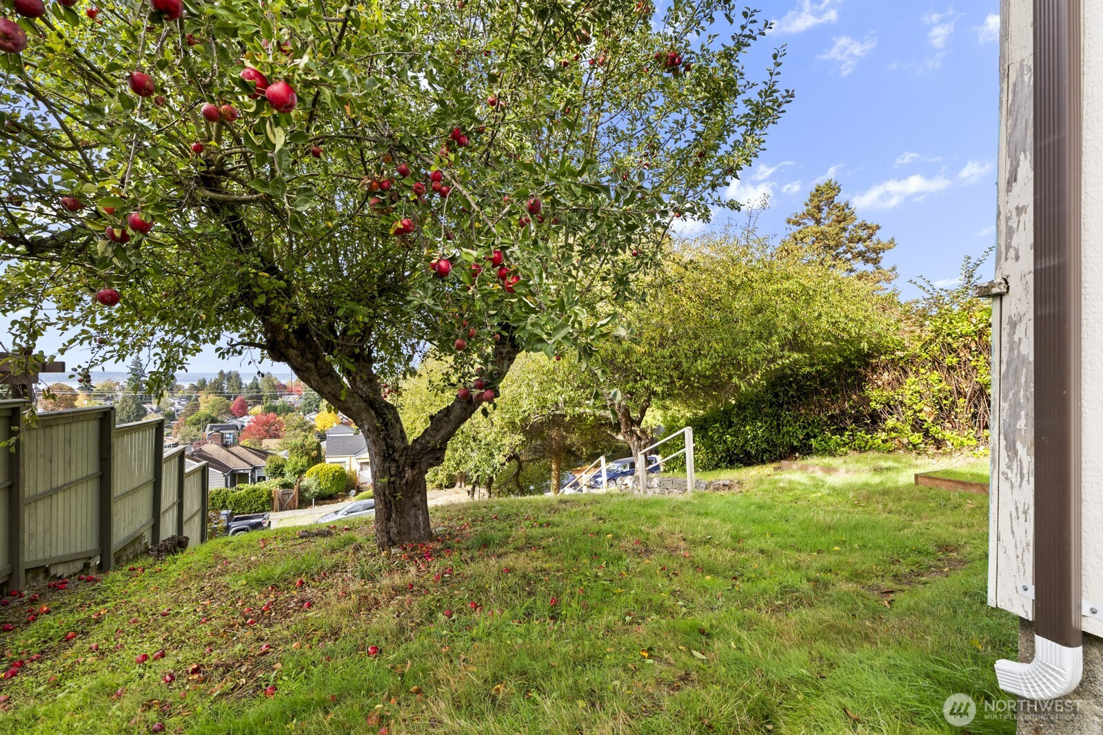 4812 46th Avenue SW, Seattle, WA 98116