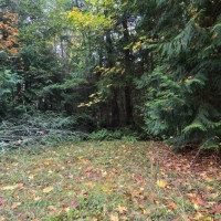 2665 Sandy Drive, Camano Island, WA 98282