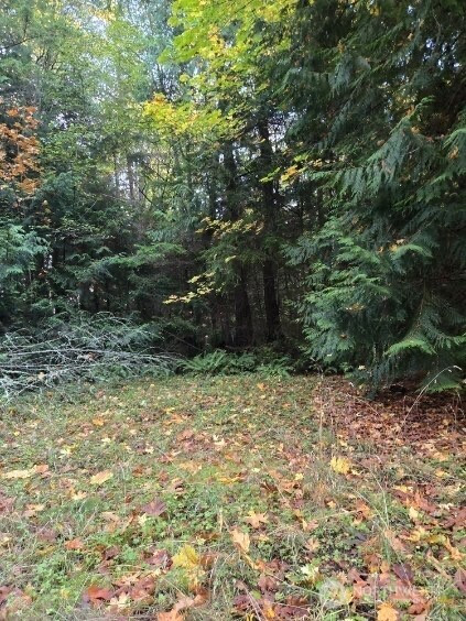 2665 Sandy Drive, Camano Island, WA 98282