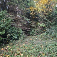 2665 Sandy Drive, Camano Island, WA 98282