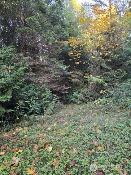 2665 Sandy Drive, Camano Island, WA 98282