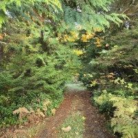 2665 Sandy Drive, Camano Island, WA 98282