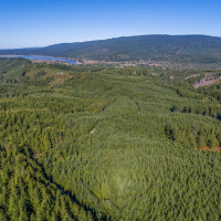 6 Parpala Road, Naselle, WA 98638