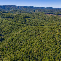 6 Parpala Road, Naselle, WA 98638