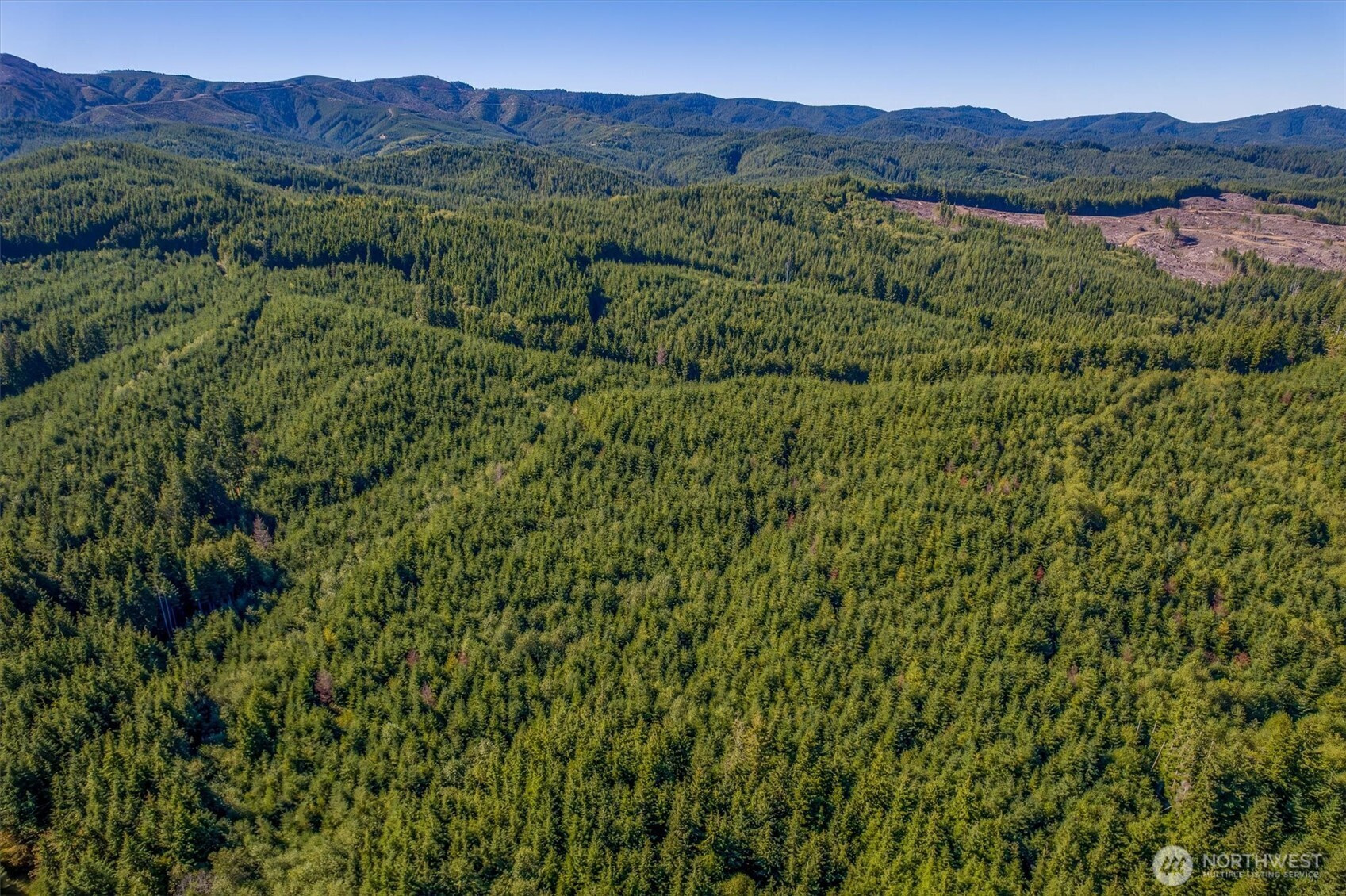 6 Parpala Road, Naselle, WA 98638