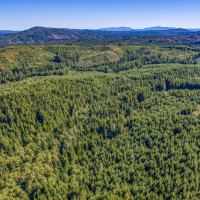 6 Parpala Road, Naselle, WA 98638