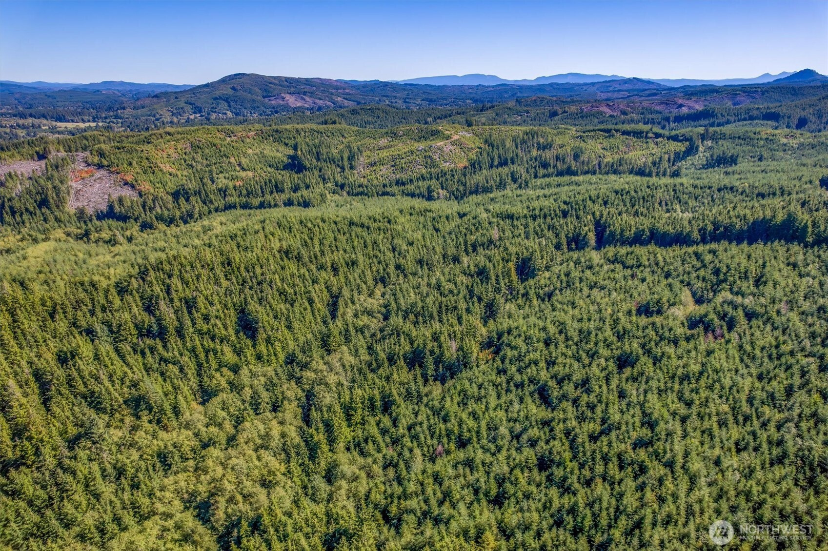 6 Parpala Road, Naselle, WA 98638