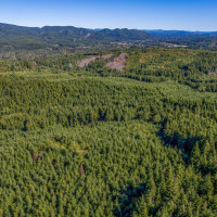 6 Parpala Road, Naselle, WA 98638