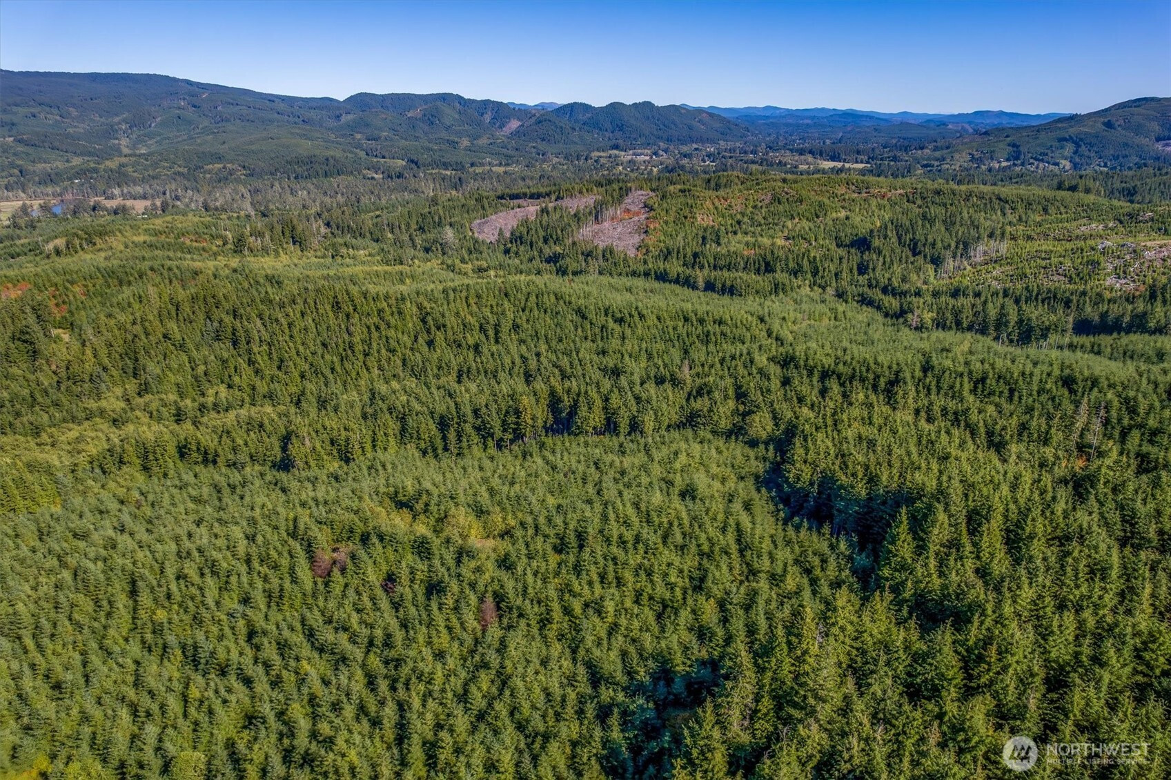 6 Parpala Road, Naselle, WA 98638