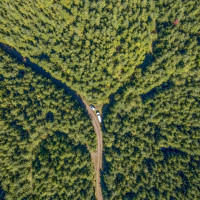 6 Parpala Road, Naselle, WA 98638