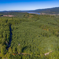 6 Parpala Road, Naselle, WA 98638