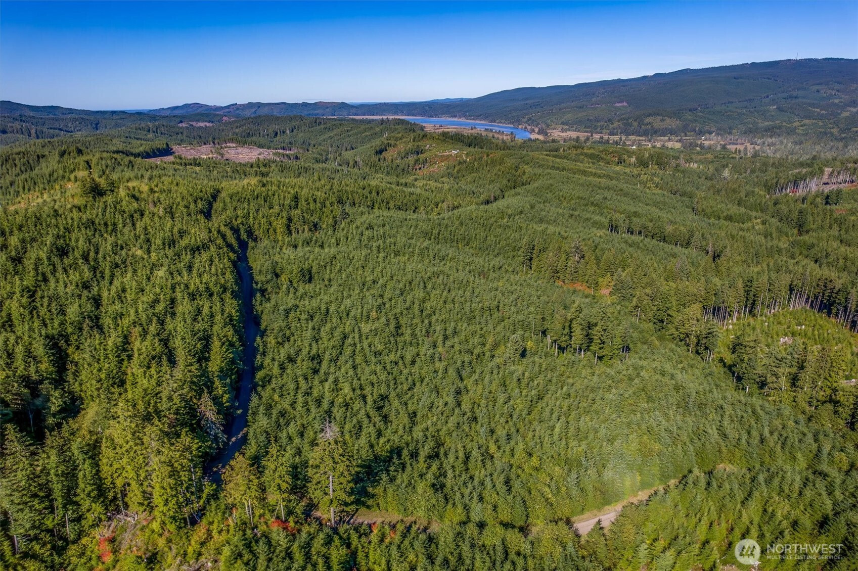 6 Parpala Road, Naselle, WA 98638