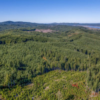 6 Parpala Road, Naselle, WA 98638