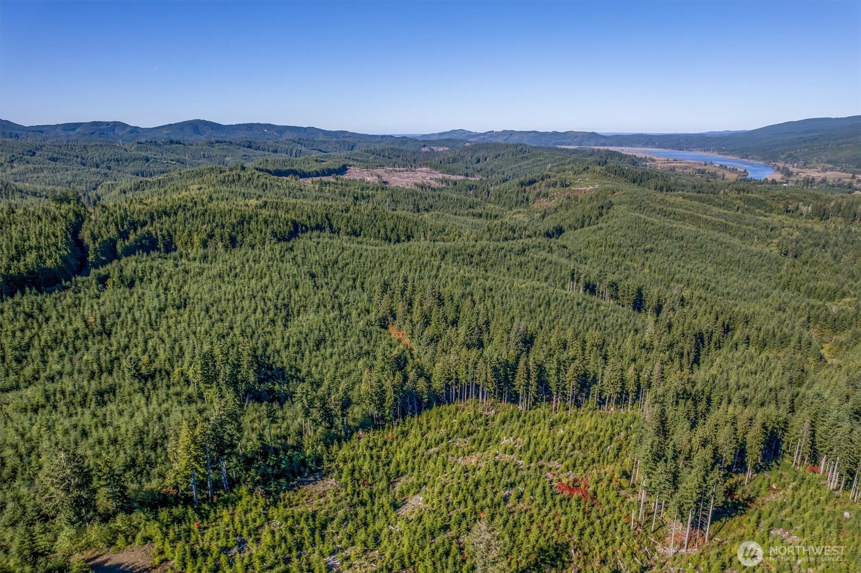 6 Parpala Road, Naselle, WA 98638