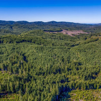 6 Parpala Road, Naselle, WA 98638