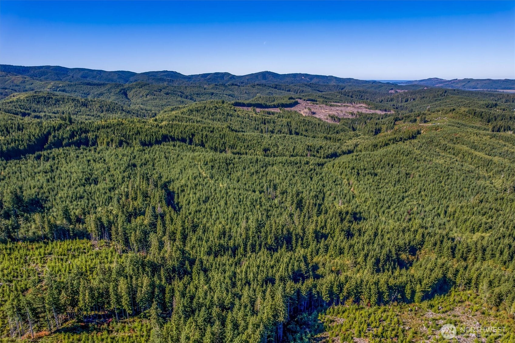 6 Parpala Road, Naselle, WA 98638