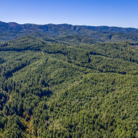 6 Parpala Road, Naselle, WA 98638