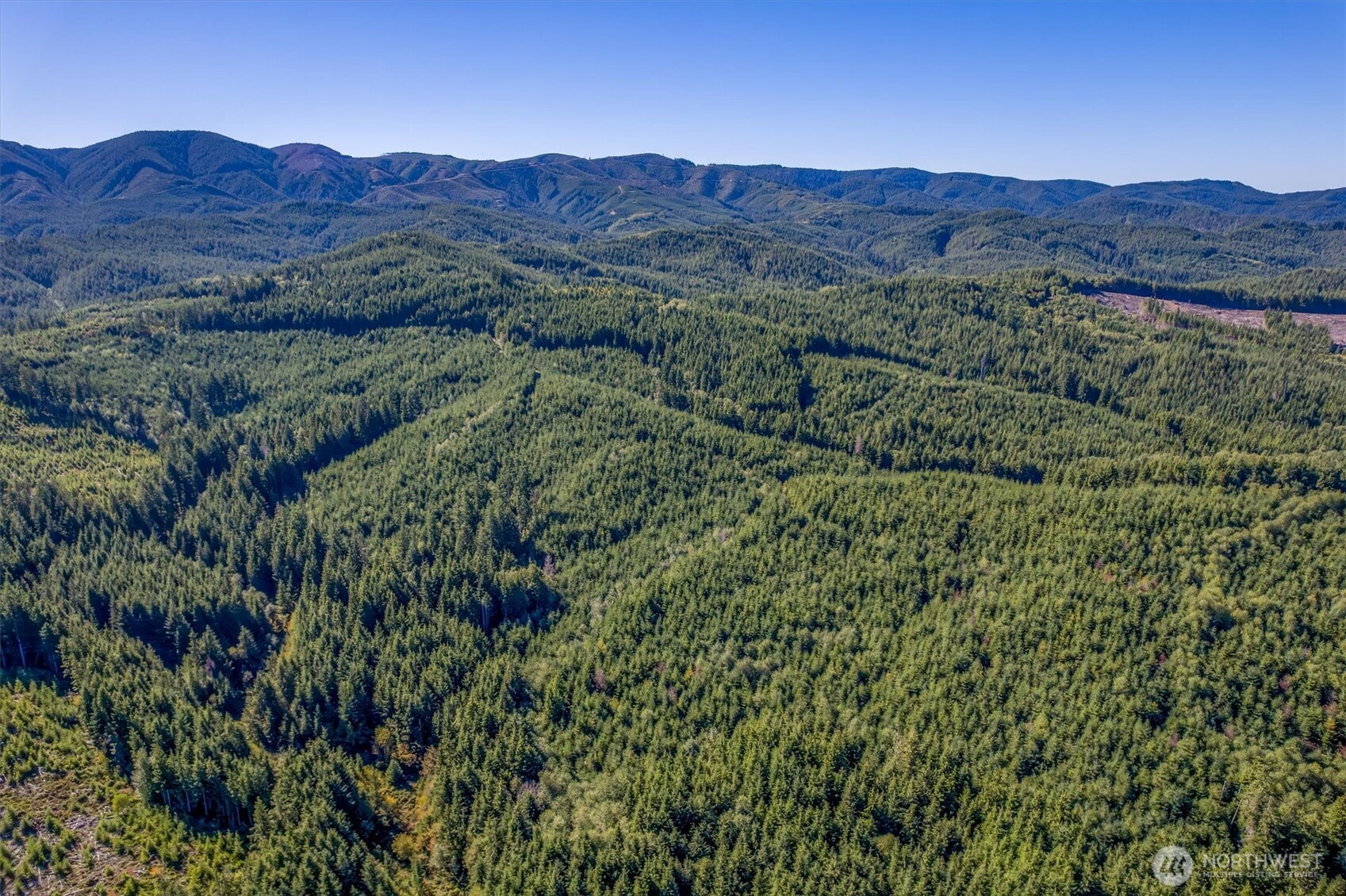 6 Parpala Road, Naselle, WA 98638