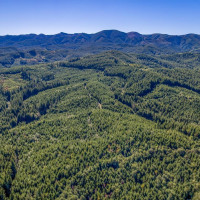 6 Parpala Road, Naselle, WA 98638