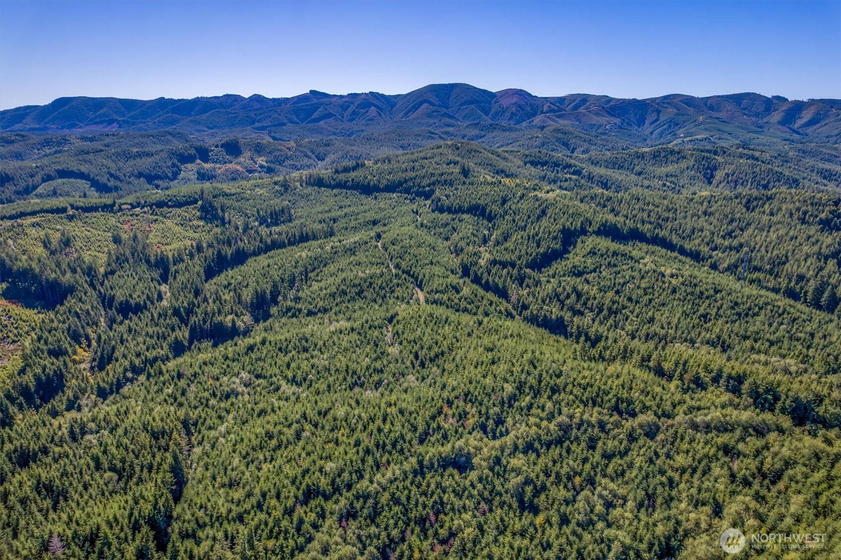 6 Parpala Road, Naselle, WA 98638