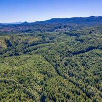 6 Parpala Road, Naselle, WA 98638